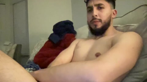 papicubano_guapo23cm  21-03-2023